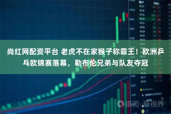 尚红网配资平台 老虎不在家猴子称霸王！欧洲乒乓欧锦赛落幕，勒布伦兄弟与队友夺冠