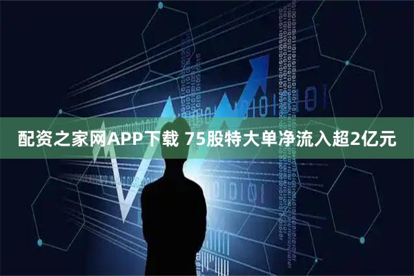 配资之家网APP下载 75股特大单净流入超2亿元